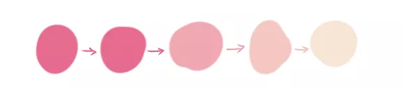 盆底訓練儀3.png